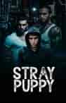 Stray Puppy - Book cover