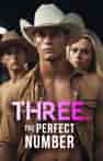 Three. The Perfect Number - Book cover
