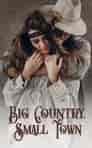 Big Country, Small Town - Book cover