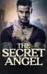 The Secret Angel - Book cover