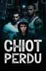 Chiot Perdu - Couverture du livre