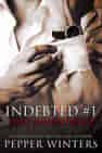 Indebted - Book cover