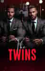 The Twins - Book cover