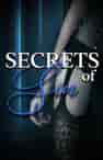 The Secrets of Sin - Book cover