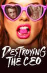 Destroying the CEO - Book cover