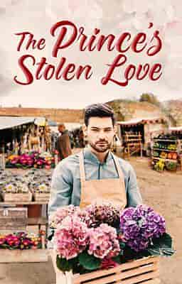 The Prince’s Stolen Love - Book cover