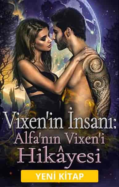 Vixen'in İnsanı - Kitap kapağı
