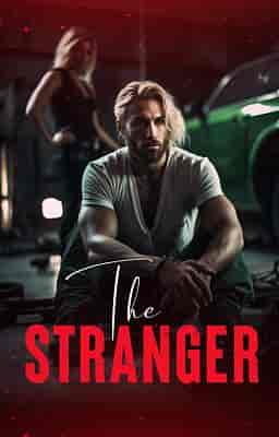 The Stranger - Book cover