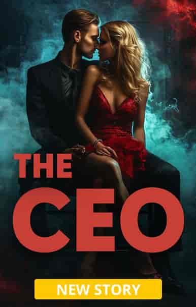 The CEO - Book cover