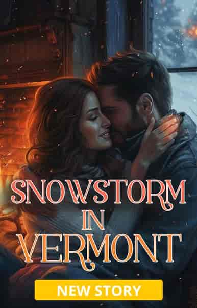 Snowstorm in Vermont - Book cover