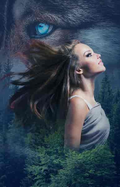 The Werewolf Chronicles - Book cover