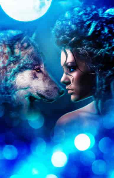 The Blue Wolf Diana - Book cover