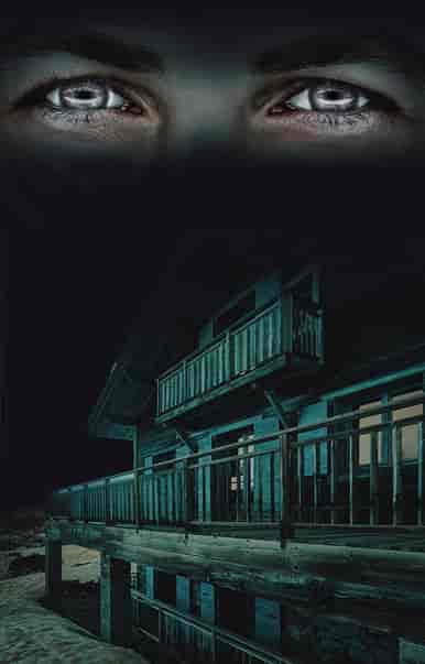 Alpha Perusak Rumah Tangga - Book cover