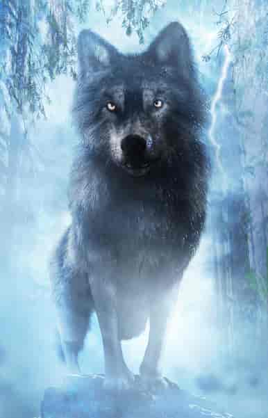 Los lobos de la Costa Oeste - Portada del libro