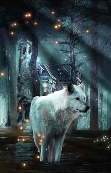 Werewolf University - Book cover