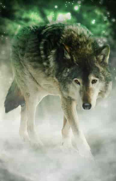 Lobos de la Costa Oeste: La caza - Portada del libro