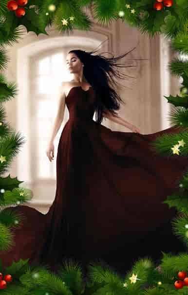 La Reine des Lycans : La Spéciale Noël - Couverture du livre