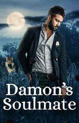 Damon's Soulmate